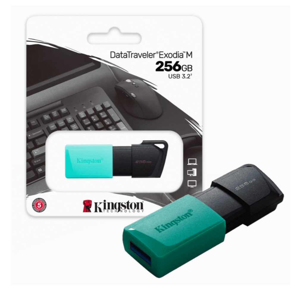 USB KINGSTON 256GB DTX 3.2